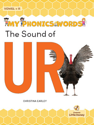 cover image of The Sound of UR
